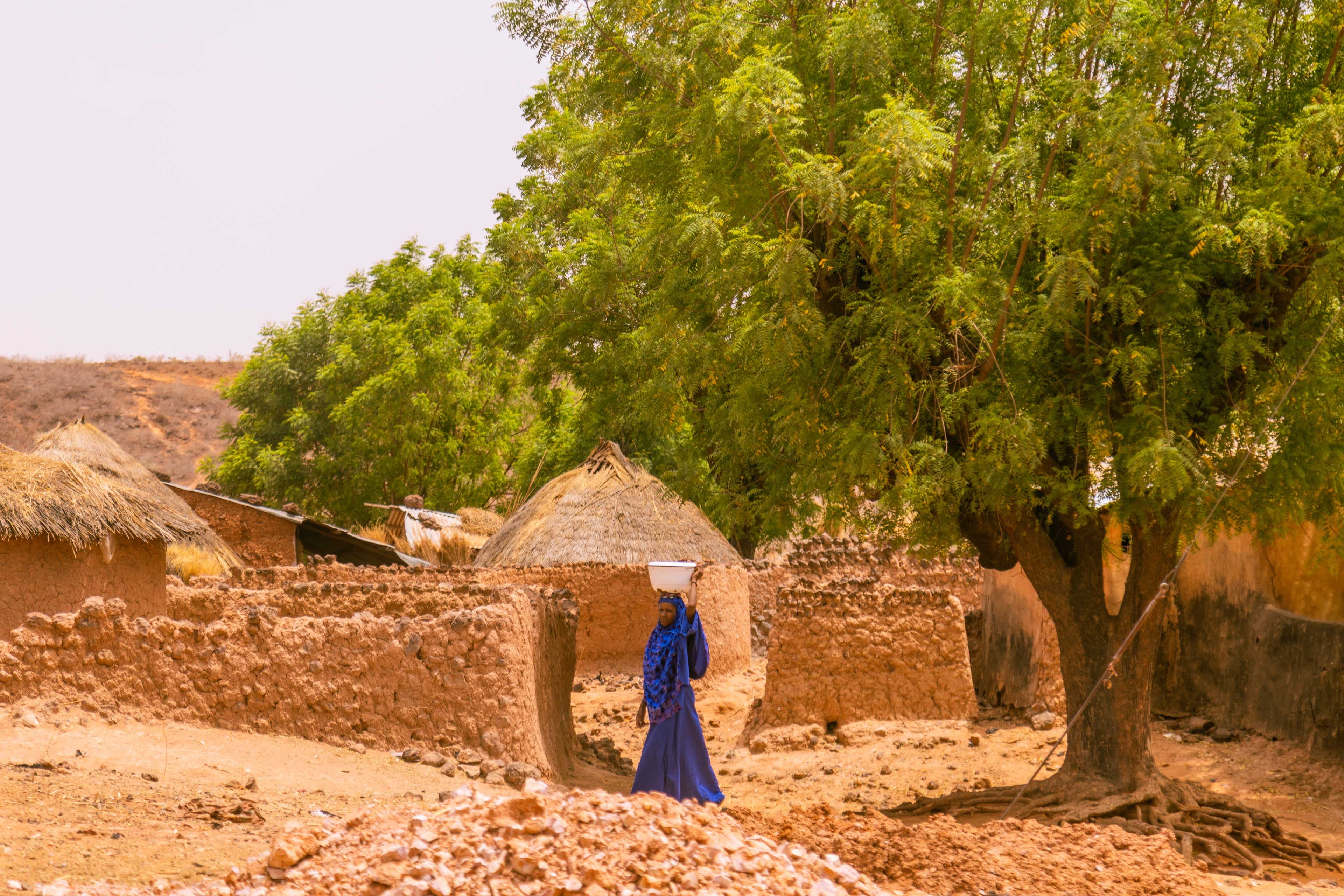 The storm as our signal: reimagining global health in adversity